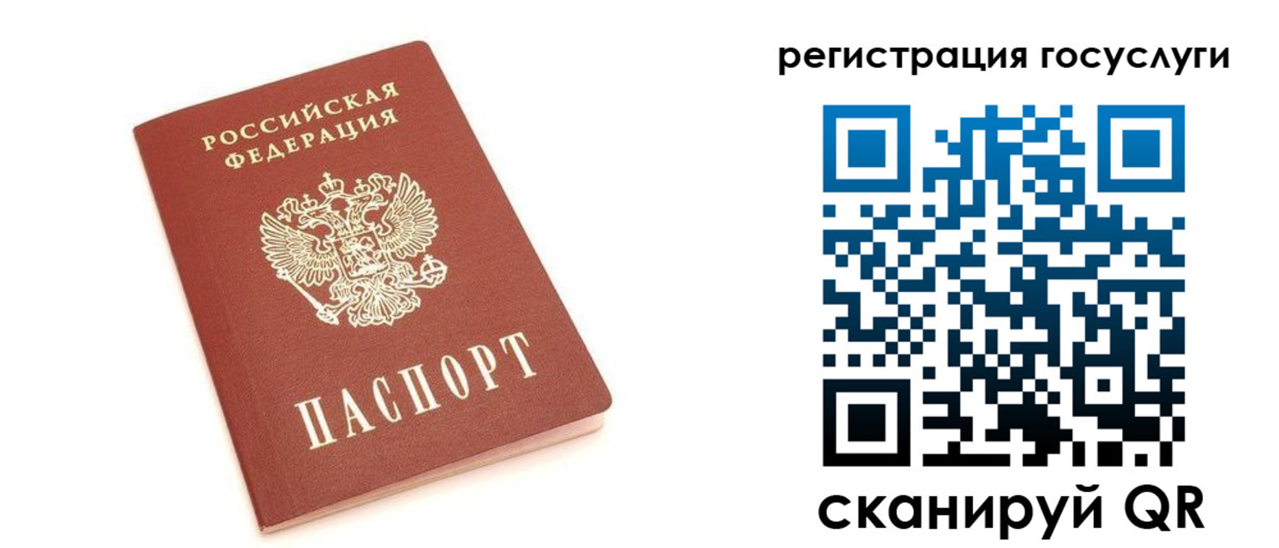 прописка 2025 в Оленегорске