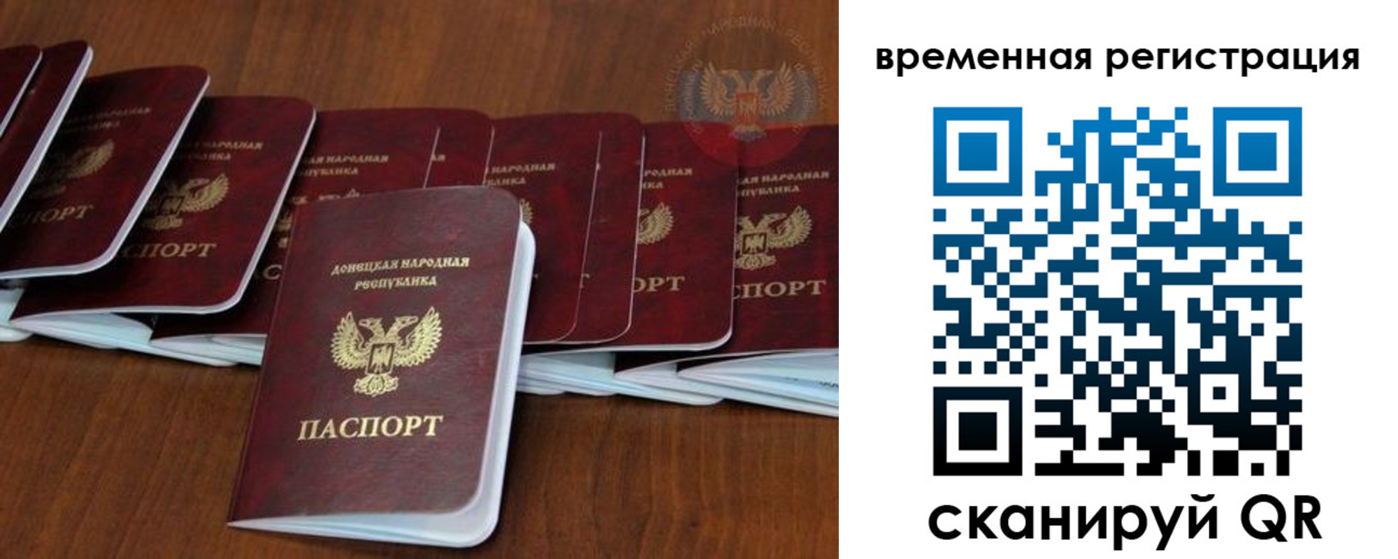 прописка законно в Оленегорске